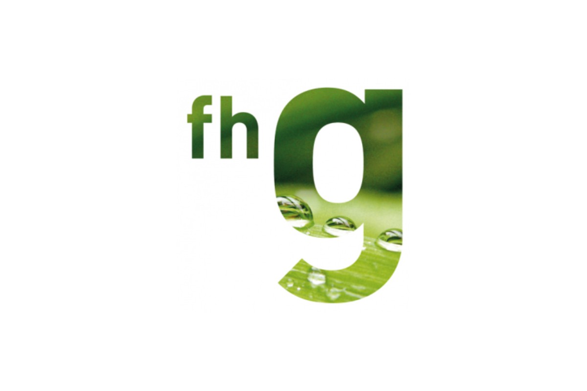 Partner 38